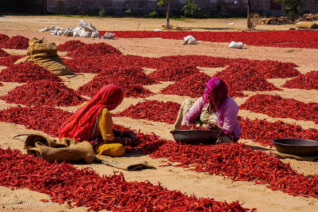 Rajasthan's Laal Badshah — Now in Your Kitchen