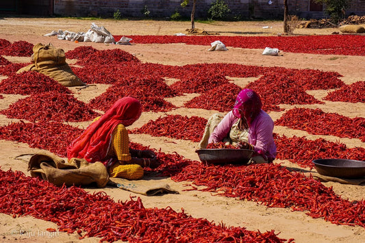 Rajasthan's Laal Badshah — Now in Your Kitchen